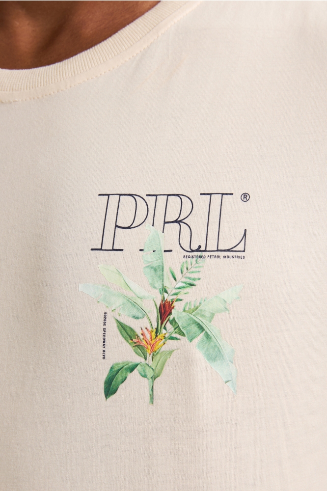 BACKPRINT T SHIRT NAUTICAL WALK M 1050 TSR688 0112 Seashell